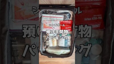 4泊5日シンガポール旅行✈︎預け手荷物パッキング🇸🇬