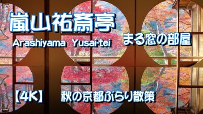 【京都ぶらり旅】紅葉🍁🍂🍁が素敵な嵐山祐斎亭 です🤩　（まる窓の部屋）から見る紅葉は素晴らしかったです　　【4K】