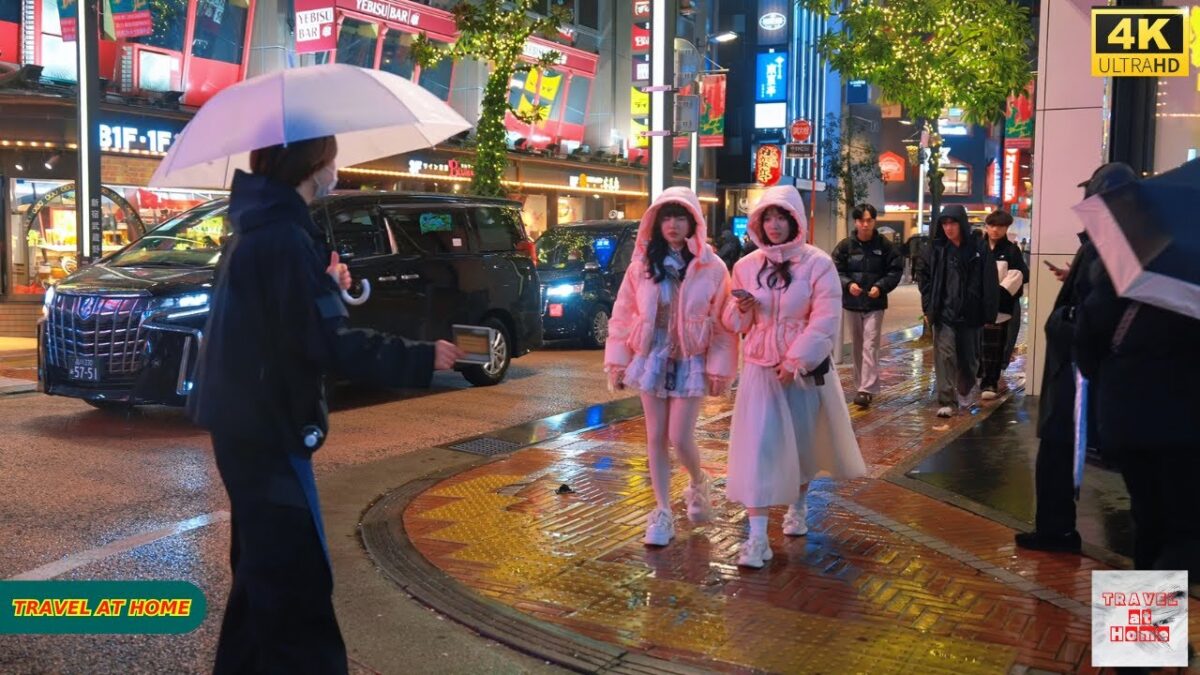4K HDR Japan travel 2026 | Snowy day Walk in Shinjuku（新宿）Tokyo Japan |Relaxing Natural City ambience