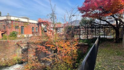 [4K] Kyoto Run&Walk 🇯🇵/冷泉通/Random walker/downtown/Japan/Walking