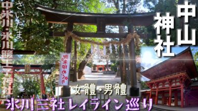【改訂版】[4K]氷川三社巡り✨中山神社JP307＠埼玉県さいたま市[2024.2.20撮影]中氷川神社・氷川簸王子(ひおうじ)神社✨氷川レイライン✨