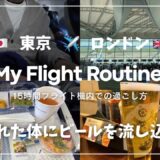 ANA国際線で行くイギリス・ロンドン🇬🇧 エコノミー15時間フライト✈️ | 私の特殊な機内の過ごし方Vlog Flight routine 15 hours