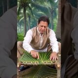 ASMR #shortvideo  | Imran Khan Crafts Bed in Nature #asmr #satisfying #imrankhan