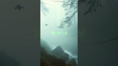 ♪【森林浴BGM】014♪ #リラクゼーション #癒し