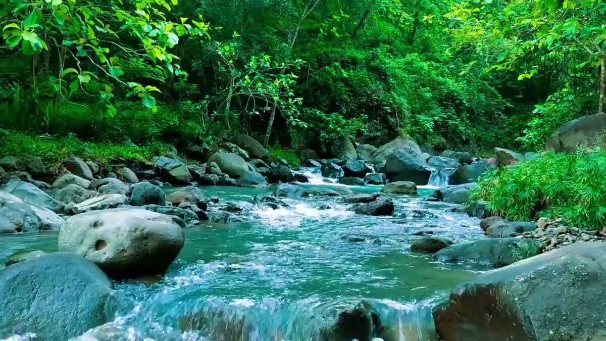 Beautiful Flowing Stream – Soothing Nature ASMR for Sleep, Focus and Relaxation, ASMR