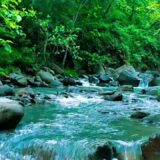 Beautiful Flowing Stream – Soothing Nature ASMR for Sleep, Focus and Relaxation, ASMR