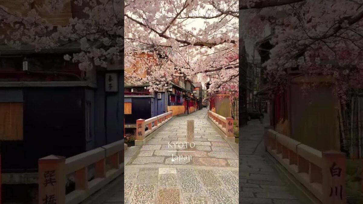 Beauty of Kyoto | Aesthetic visuals of Japan |