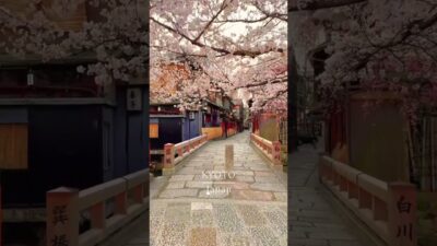 Beauty of Kyoto | Aesthetic visuals of Japan |