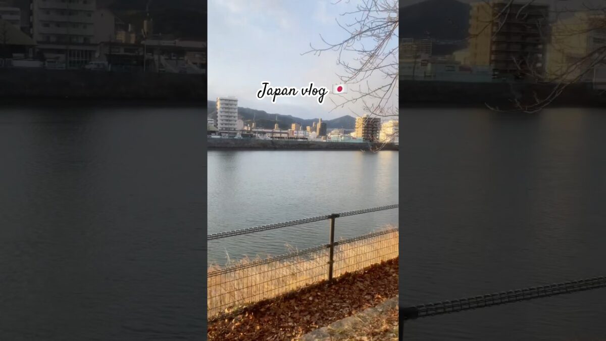 Best walk area in 🇯🇵japan #shortvideo #japanvlog  #hindivlog ||the ndbisht vlog |