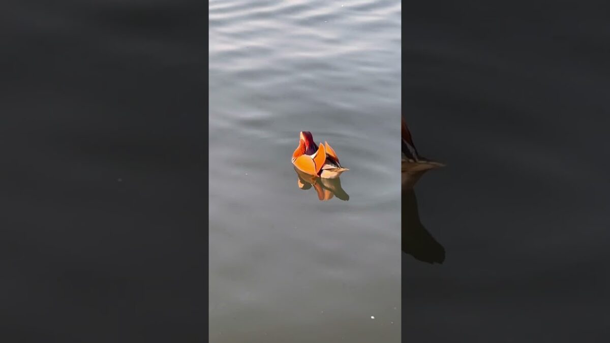 Can You Guess Where This Is in China?