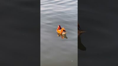 Can You Guess Where This Is in China?