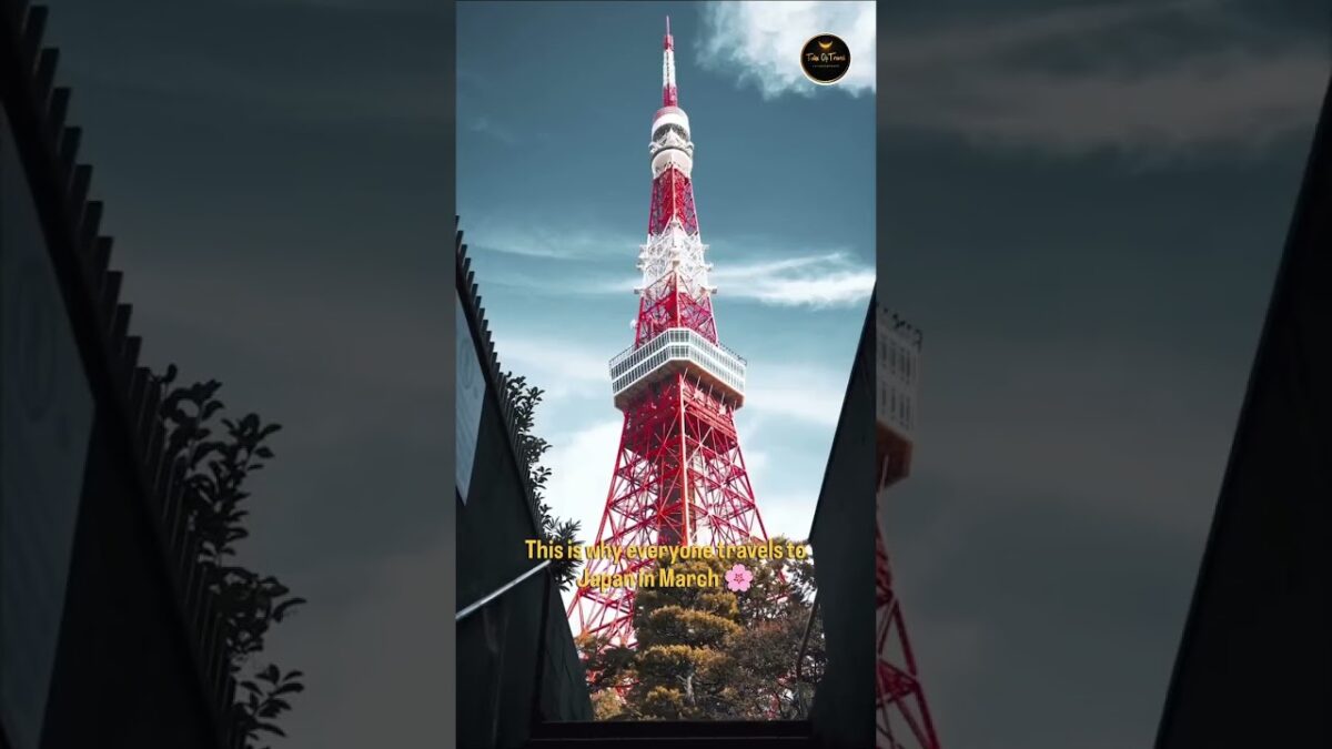 🌸 Cherry Blossom Season in Japan is Calling! 🇯🇵✨Walk under pink sakura skies, explore iconic