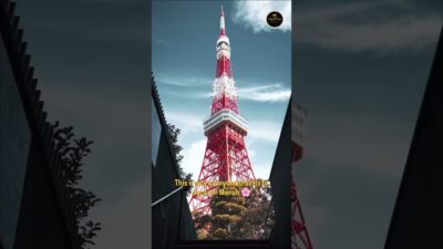 🌸 Cherry Blossom Season in Japan is Calling! 🇯🇵✨Walk under pink sakura skies, explore iconic