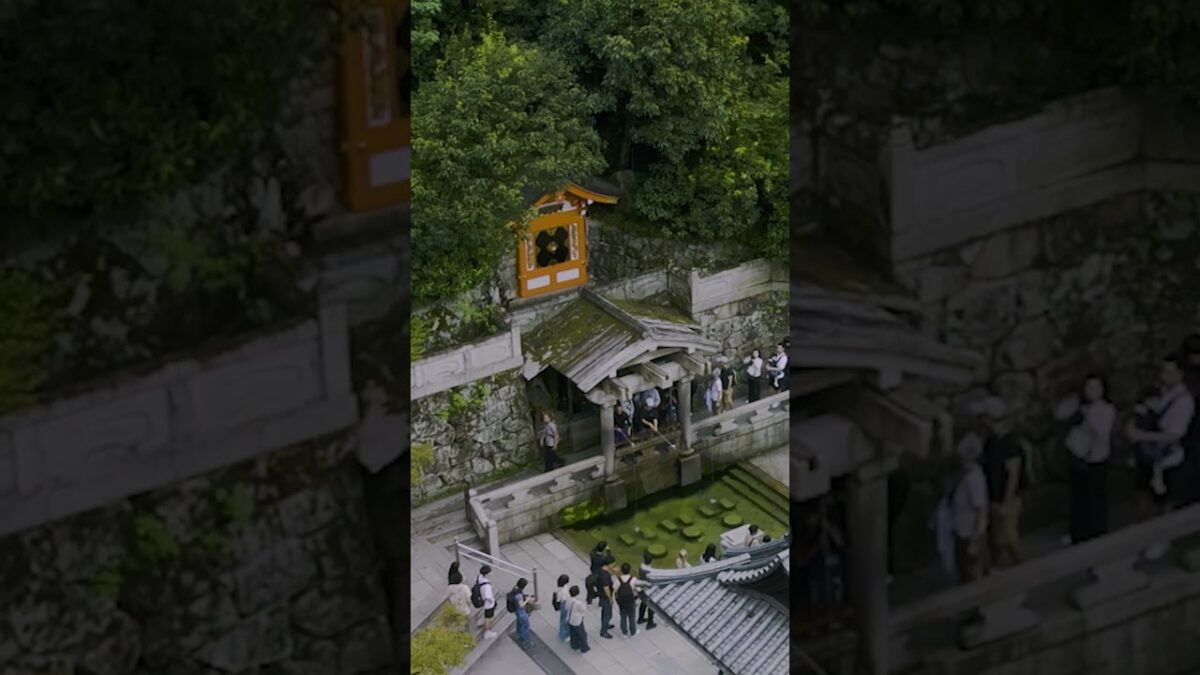Cinematic Rain in Ancient Kyoto (4K) #shorts  #kyoto