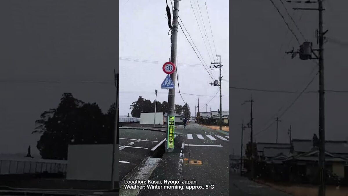 Cold Winter Morning Walk in Kasai, Japan | Real Life Street View (1°C)