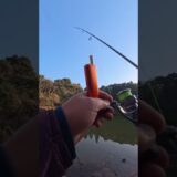 🌅 Drift into Lakeside Calm: Nature’s ASMR Escape 🎣