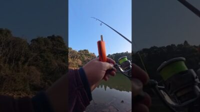 🌅 Drift into Lakeside Calm: Nature’s ASMR Escape 🎣