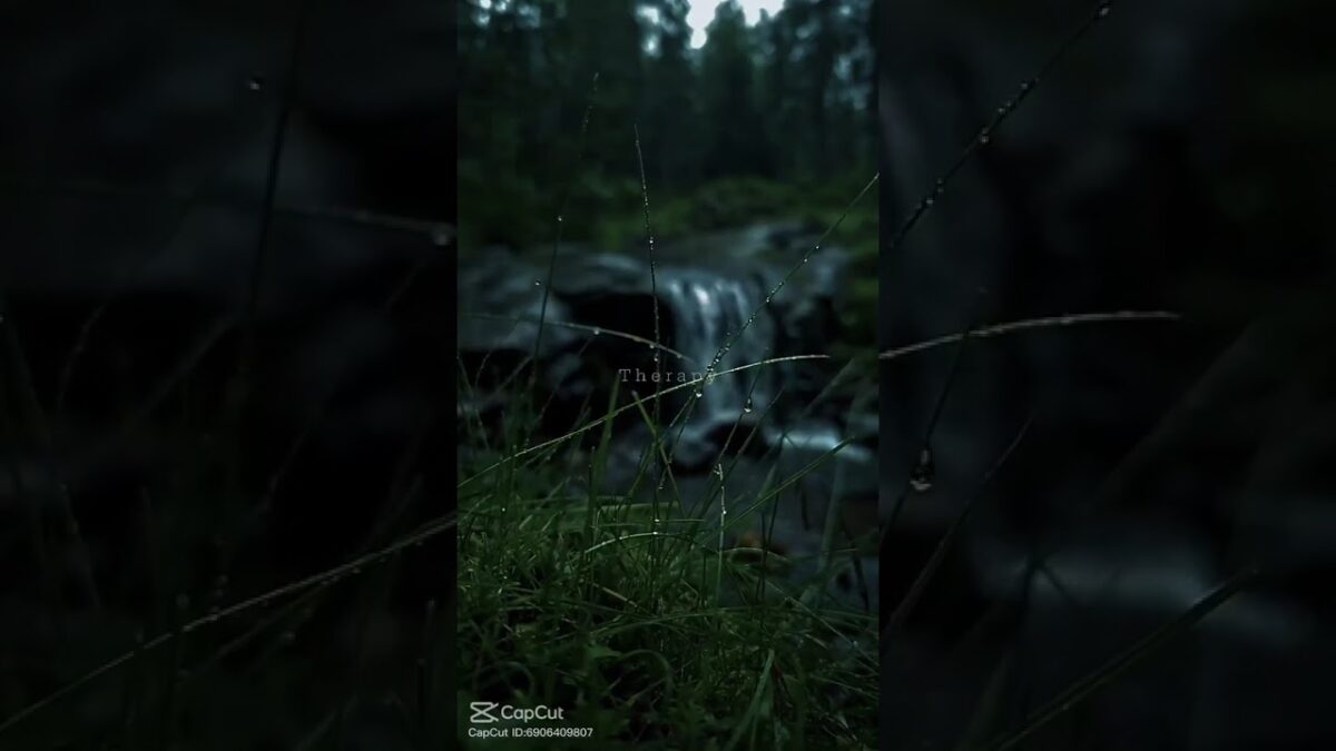 Flowing River Sounds in Nature #asmr  #NatureSounds #ForestSounds #BirdSounds #RelaxingNature