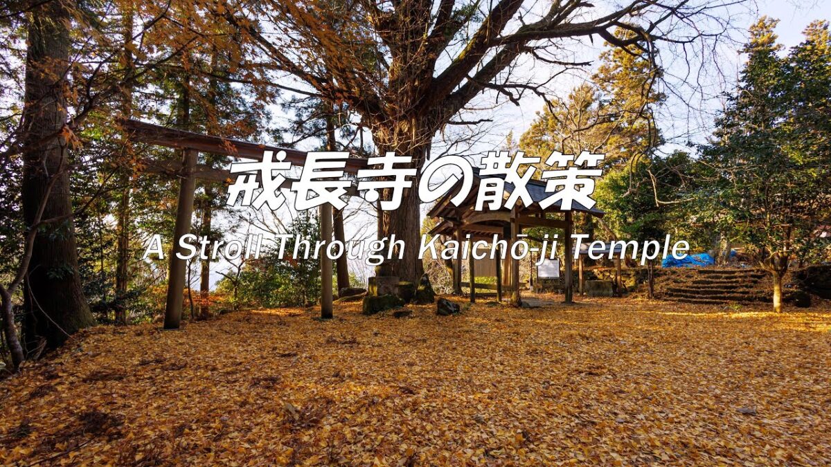 Kaichō-ji Temple｜Quiet Early Morning Walk｜Winter｜No Talking | UsagiFilm