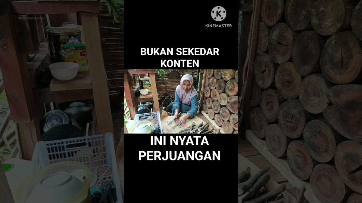 Kehidupan di kebun #nature #survival #asmr