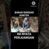 Kehidupan di kebun #nature #survival #asmr