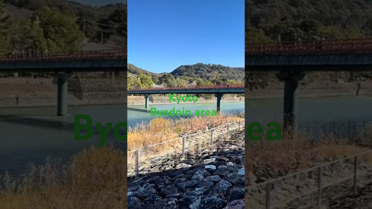 Kyoto: cycling around the historic Byodoin temple area 🚲 4k  #shorts