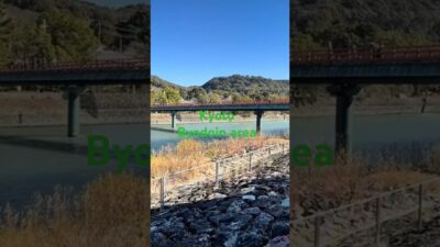 Kyoto: cycling around the historic Byodoin temple area 🚲 4k  #shorts