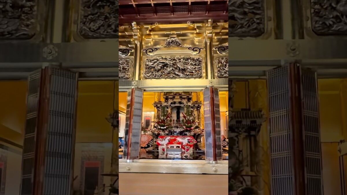 Kyoto: cycling to Higashi Honganji temple and Kamo River 🚲 4k asmr #shorts