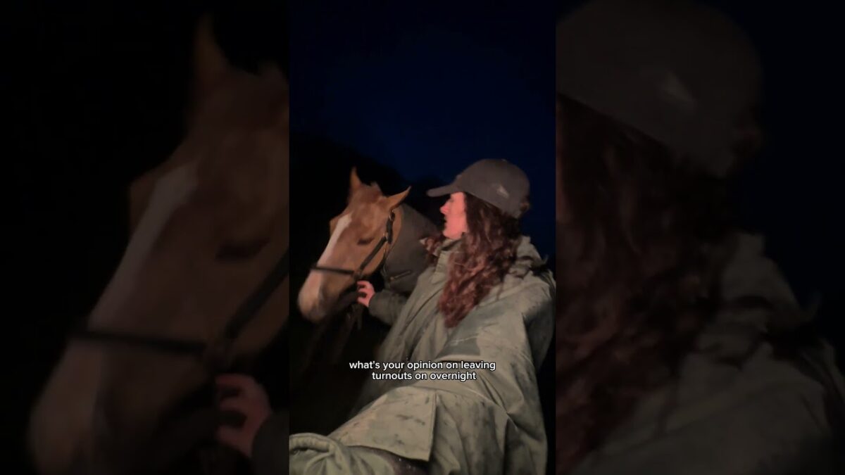 My morning routine!🥱