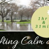 NATURE ASMR | Rainy wet PARK day