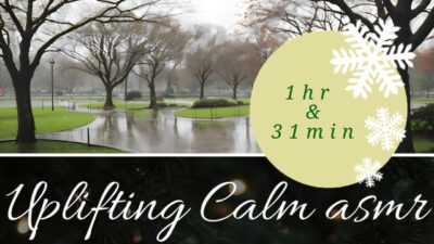 NATURE ASMR | Rainy wet PARK day