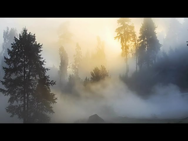 Nature ASMR 🌌 | Water, Ice, Fog & Stars for Sleep & Meditation