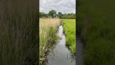Nature Asmr #asmr #nature #naturelovers #youtubeshorts #youtube #youtubevideo #shorts #shortsfeed