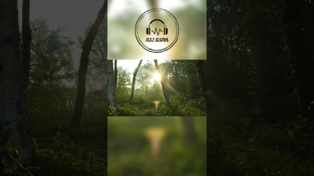 Peaceful Forest Bird Sounds 🐦🌲 | Nature ASMR #Shorts