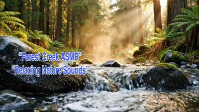 Relaxing Nature ASMR 🌿 Forest Creek & Morning Sunlight Sounds
