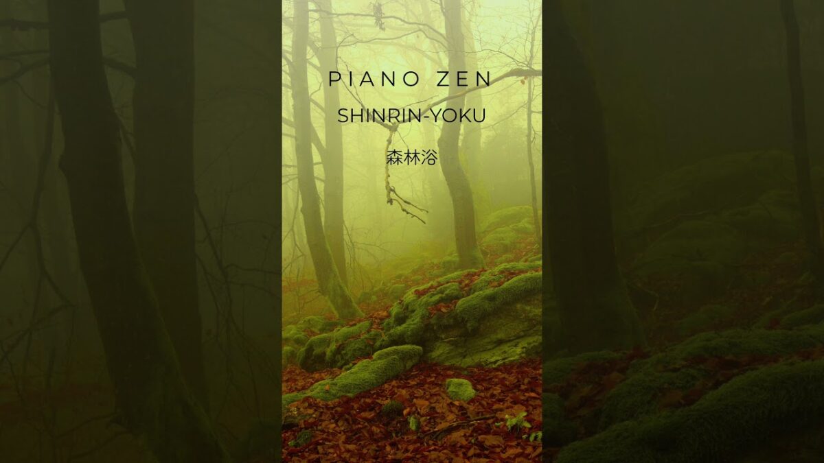 SHINRIN-YOKU（森林浴）