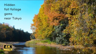 Saitama, Japan🍁Hidden fall foliage gems near Tokyo | 4K Relaxing Walk