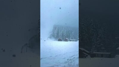 Snowfall Kar Yağışı #snowstorm #snow #asmr #forest #snow #nature #snowforest #mountain #kar #winter