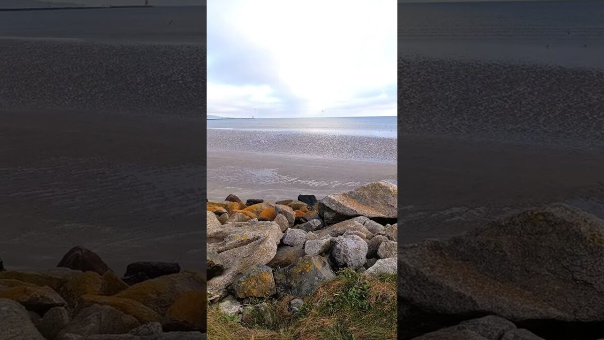 The Ocean Is Breathing… Listen Carefully 🌊 #shorts