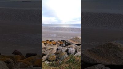 The Ocean Is Breathing… Listen Carefully 🌊 #shorts