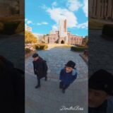Tokyo University walk with having lunch.#japan #東京大学 #walking #visiting #lunch #昼飯 #artist #tokyo