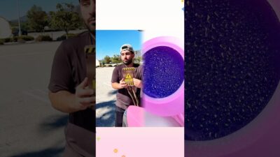 WHAT’S IN YOUR TRUNK #shorts