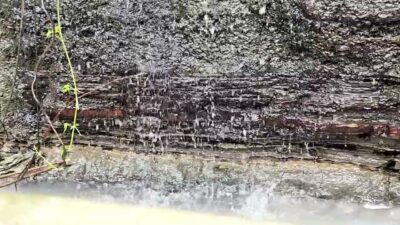 Waterfall Sounds with Bamboo Flute | Nature ASMR for Sleep & Relaxation