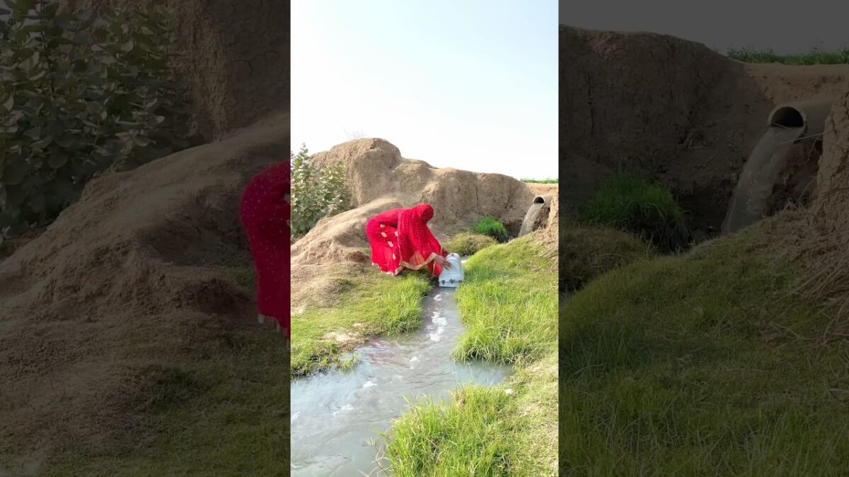 What’s In The Box? | Viral Video | Trending | Shorts #youtubeshorts #viral