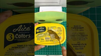 What’s In This Yellow Box? #mukbang