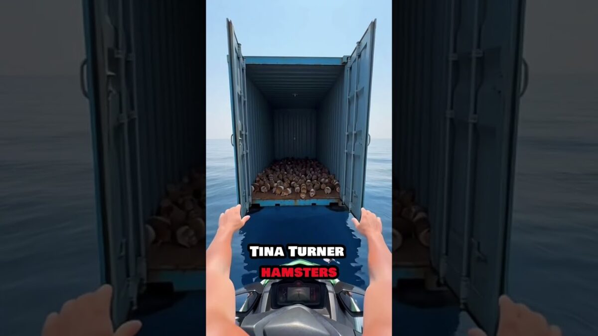 You Won’t Believe What’s in These Ocean Containers! 🌊 #viral #sea