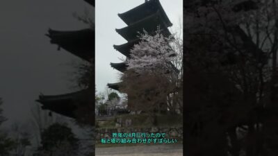 ♫帰郷　リリース　総社巡り　 #distrokid