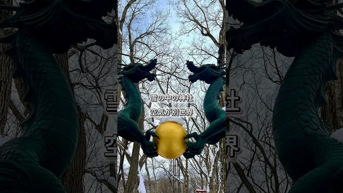 📍行った場所・鬼怒川温泉ロープウェイ・鬼怒川温泉神社・日帰り温泉 ほてる白河 湯の蔵・遊ingPLAZA 気になったら保存してね。#鬼怒川温泉#冬旅#一人旅#日帰り旅行#温泉旅