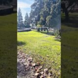 it feels like summer!! desc!!☀️#viral #blowup #aesthetic #morning #routine #vlog