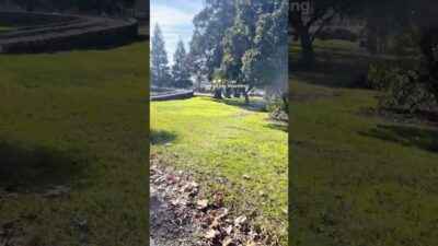 it feels like summer!! desc!!☀️#viral #blowup #aesthetic #morning #routine #vlog